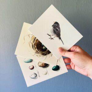 Bird Lover Notecard Set