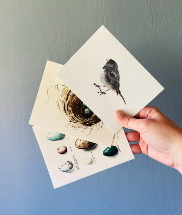 Bird Lover Notecard Set